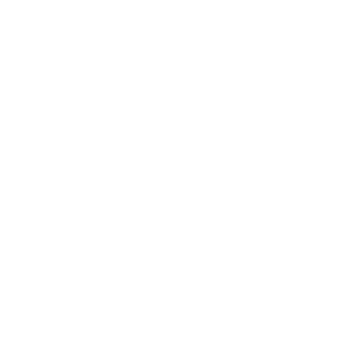 Database Management